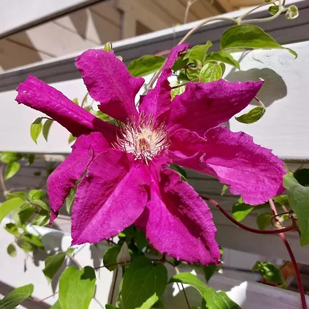 Polnoc-poludnie בית נופש *